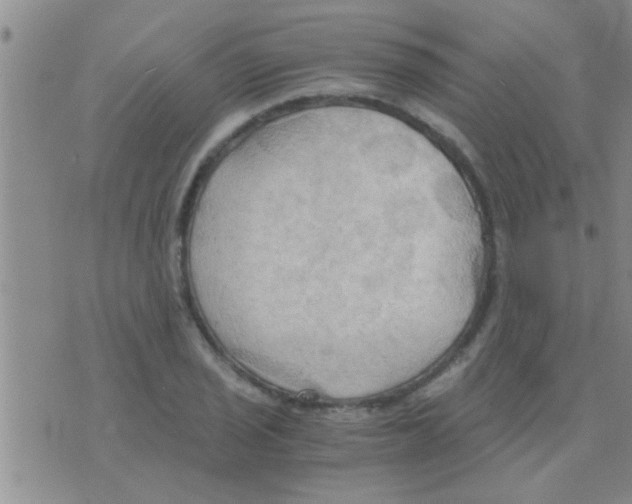 X0000075891029200610151746