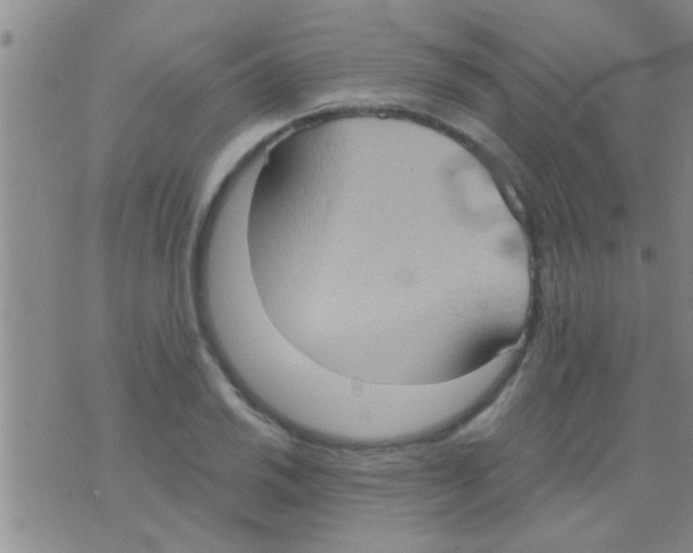 X0000075891030200610151746