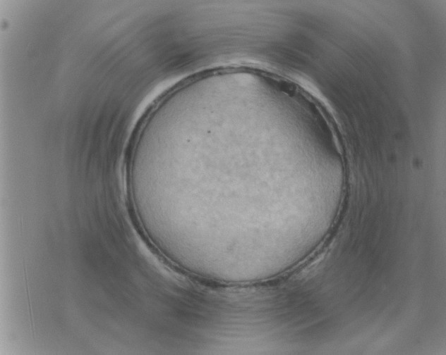 X0000075891032200610151746