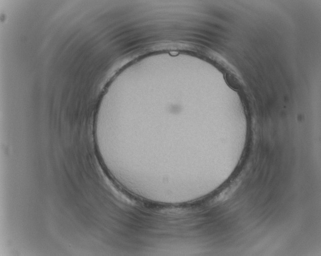 X0000075891033200610151746