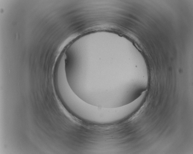 X0000075891034200610151746