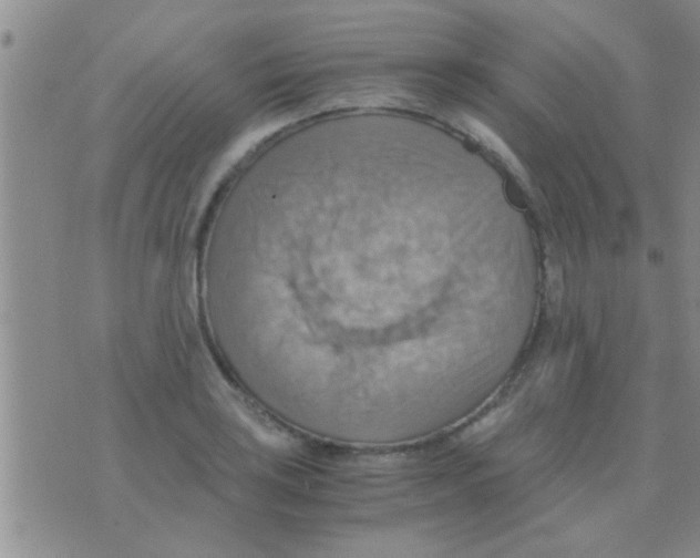 X0000075891035200610151746