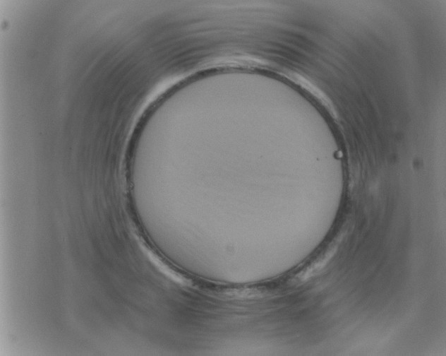 X0000075891037200610151746