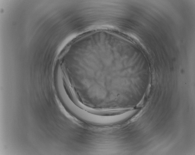 X0000075891038200610151746