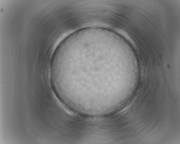 X0000075891040200610151746