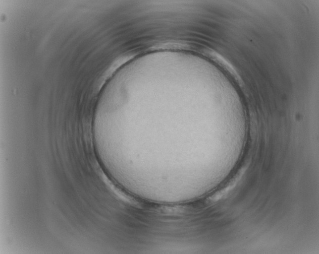 X0000075891041200610151746