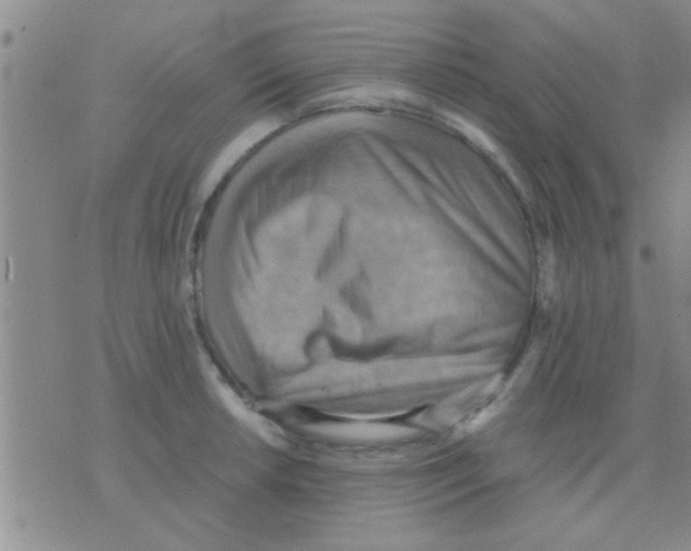 X0000075891042200610151746