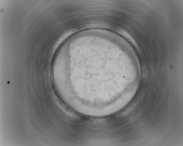 X0000075891043200610151746