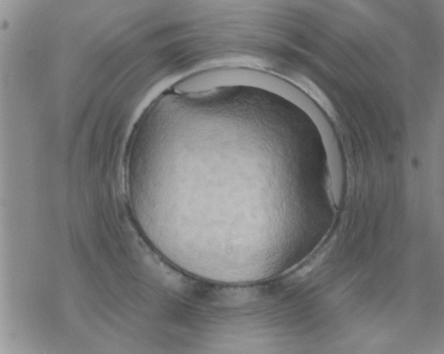 X0000075891044200610151746