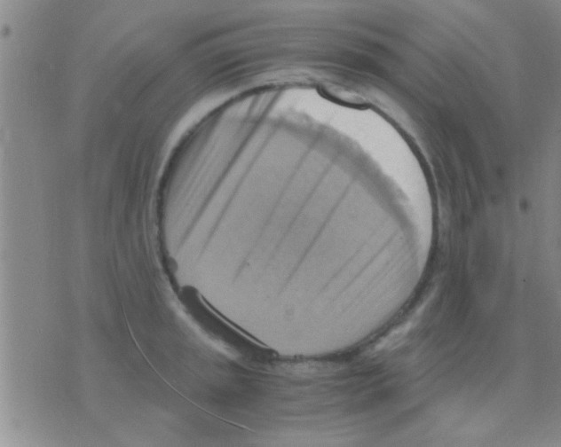 X0000075891045200610151746