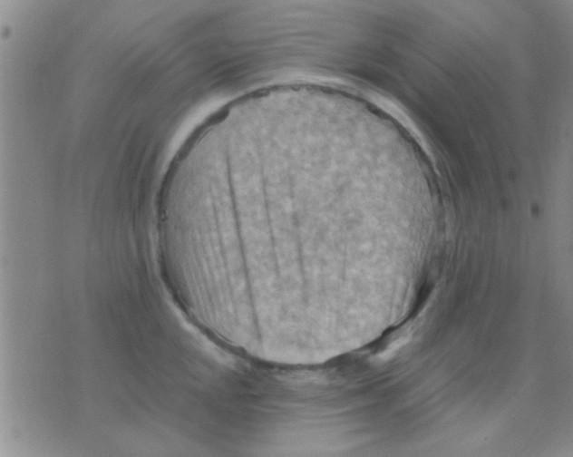 X0000075891048200610151746