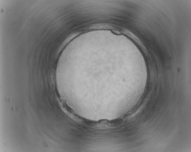 X0000075891049200610151746