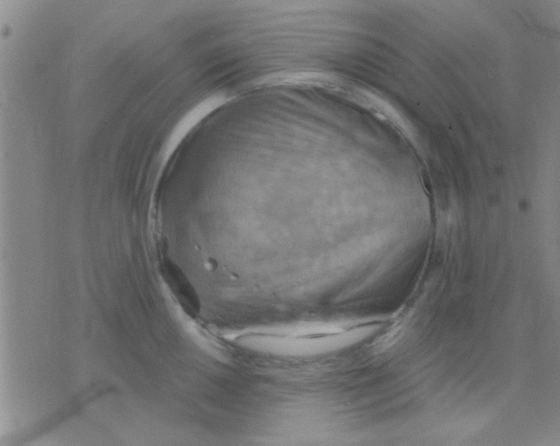 X0000075891050200610151746