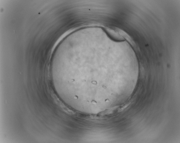 X0000075891052200610151746