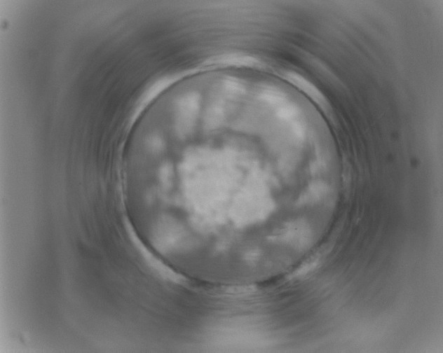 X0000075891055200610151746