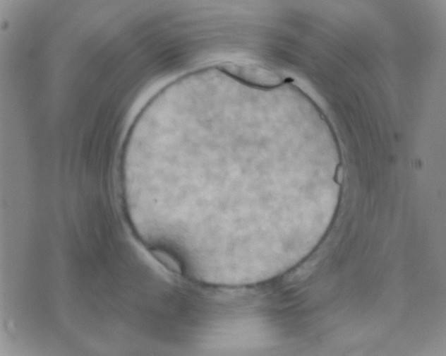 X0000075891056200610151746