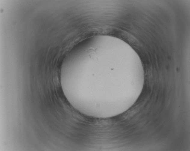 X0000075891058200610151746