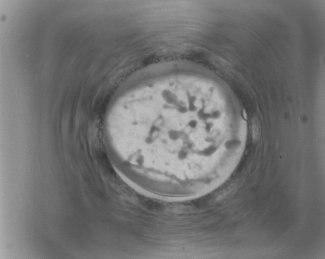 X0000075891059200610151745