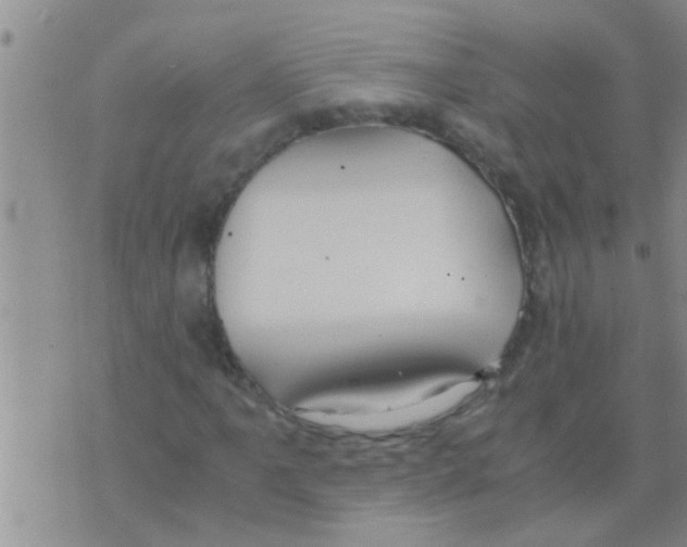 X0000075891061200610151745