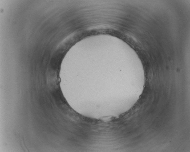 X0000075891062200610151745