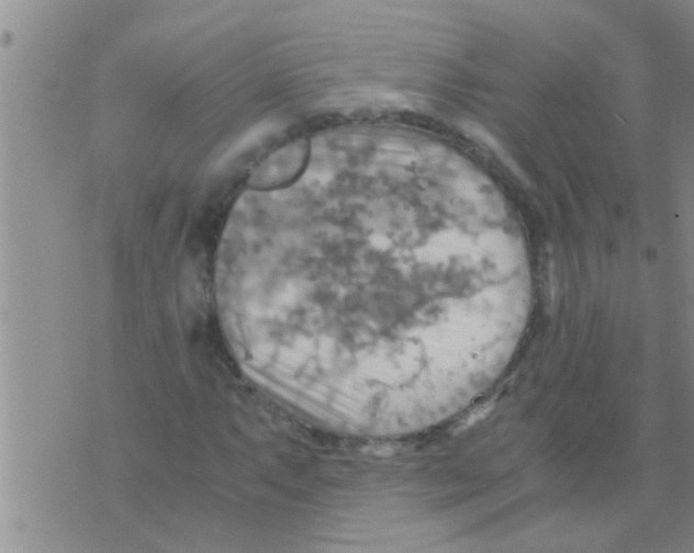 X0000075891063200610151745