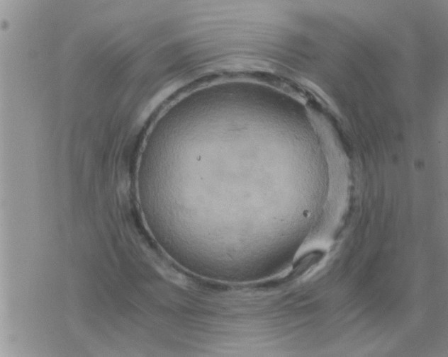 X0000075891065200610151745