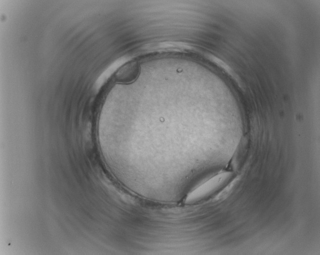 X0000075891066200610151745