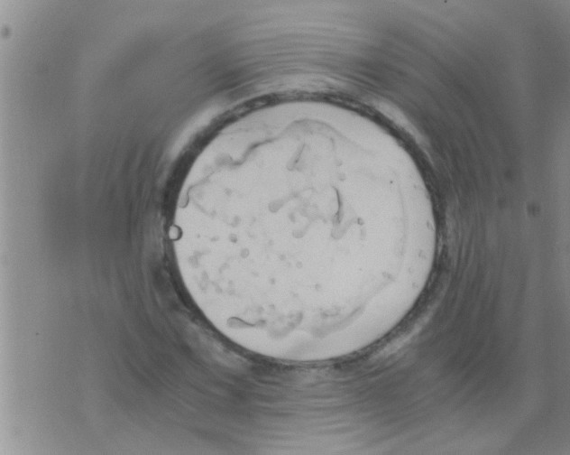 X0000075891067200610151745