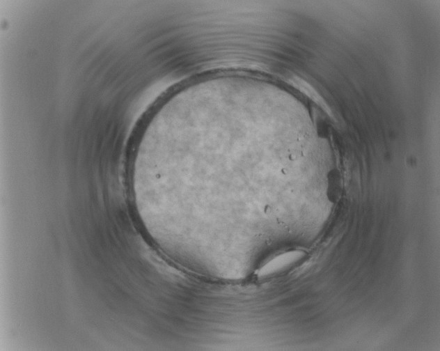 X0000075891068200610151745