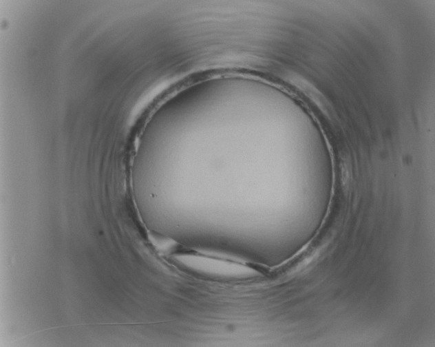 X0000075891069200610151745