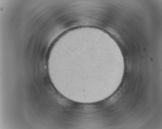 X0000075891070200610151745