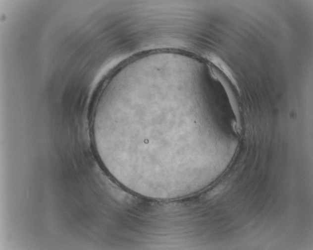 X0000075891072200610151745