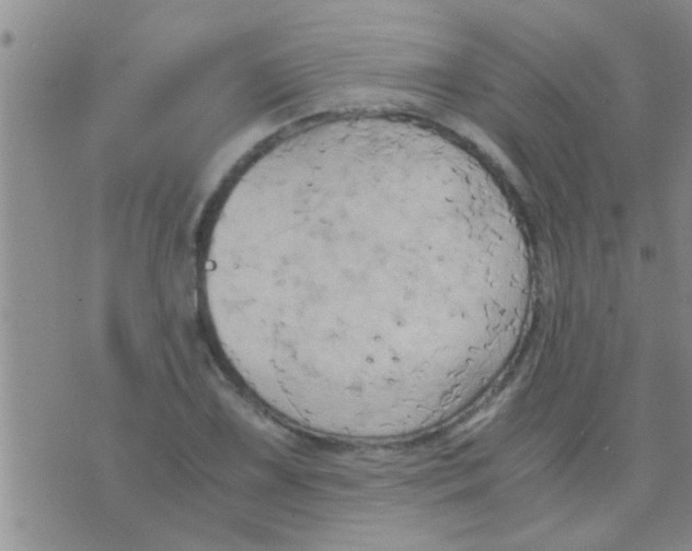 X0000075891075200610151745