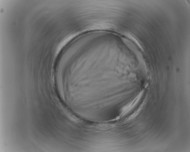 X0000075891077200610151745