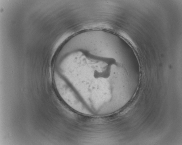 X0000075891079200610151745