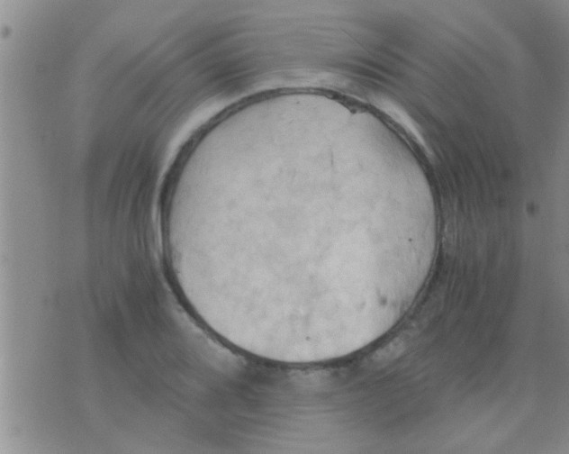 X0000075891080200610151745