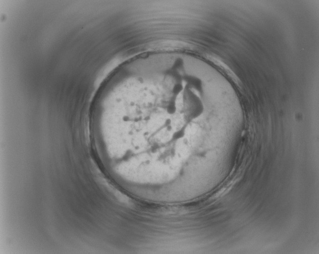 X0000075891083200610151745