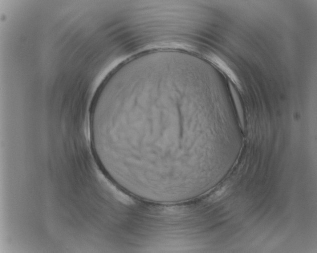 X0000075891084200610151745