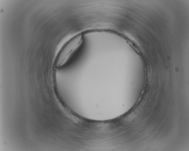 X0000075891085200610151745