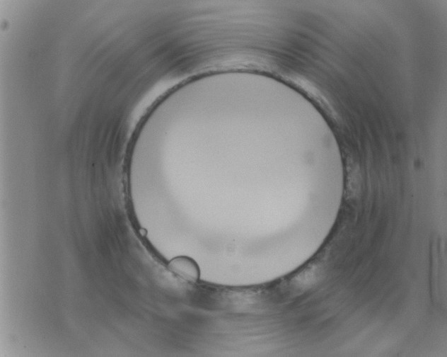 X0000075891086200610151745