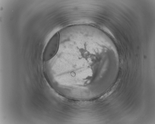 X0000075891087200610151745