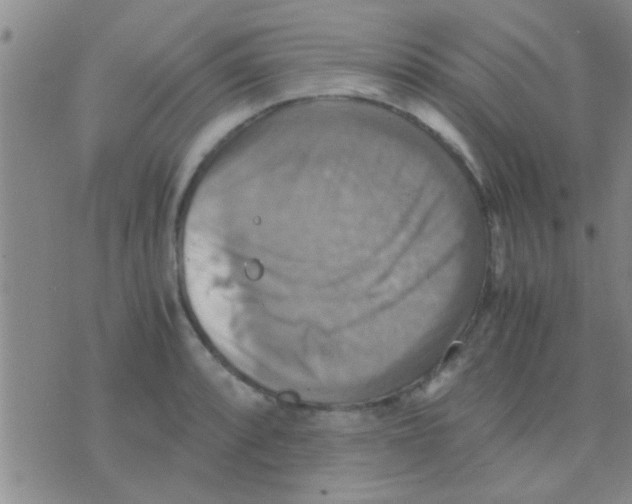 X0000075891088200610151745