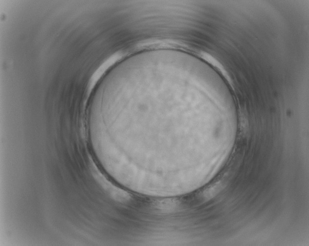 X0000075891090200610151745