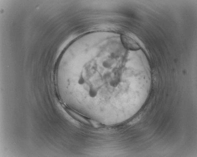 X0000075891091200610151745