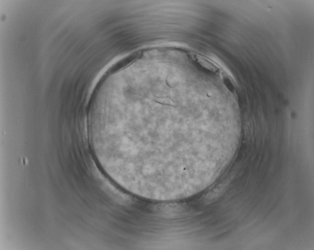 X0000075891092200610151745