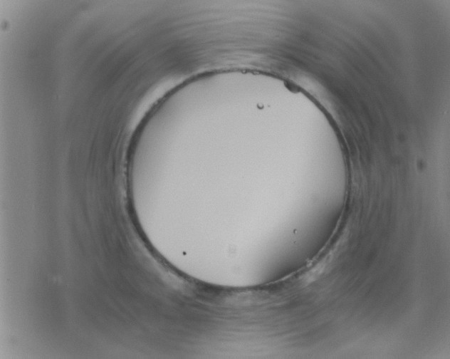 X0000075891093200610151745