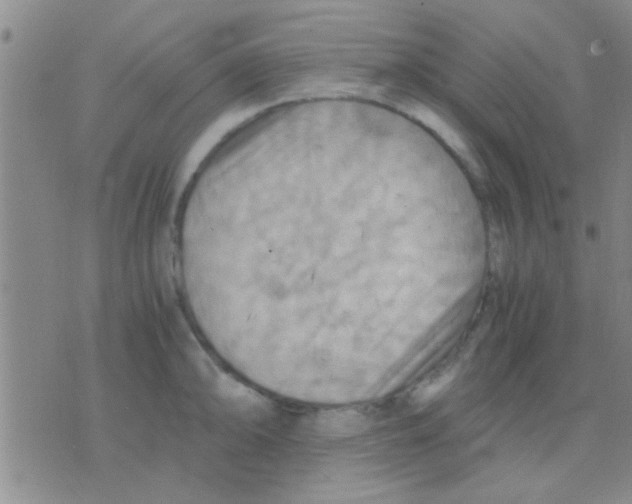 X0000075891094200610151745