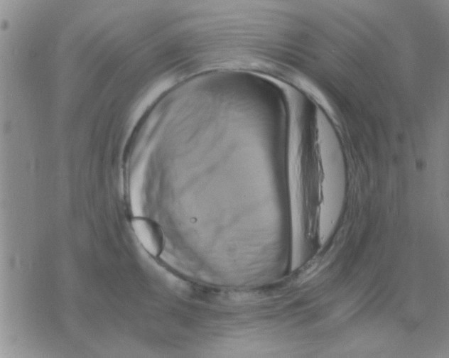 X0000075891095200610151745