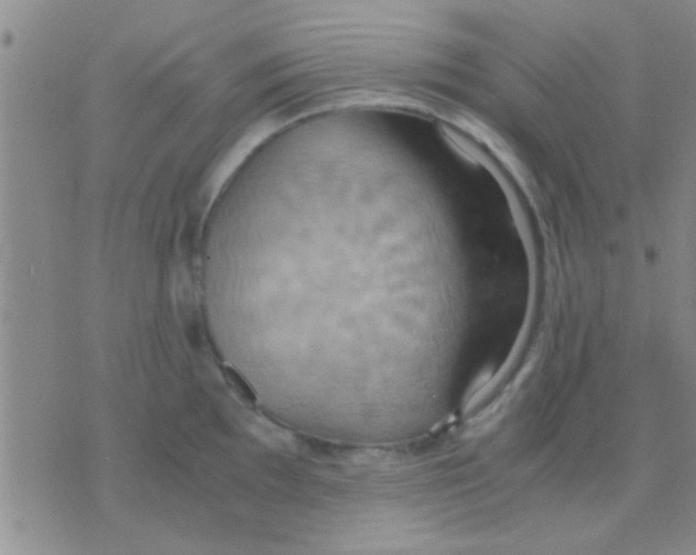 X0000075891097200610151745