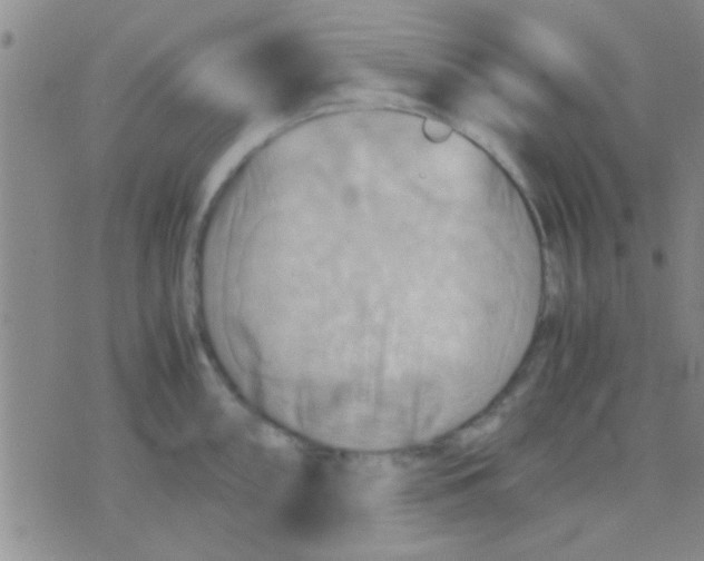 X0000075891098200610151745